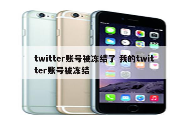 twitter账号被冻结了 我的twitter账号被冻结