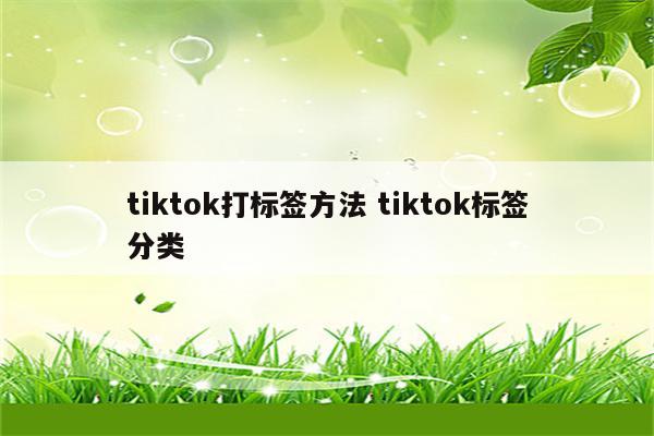 tiktok打标签方法 tiktok标签分类