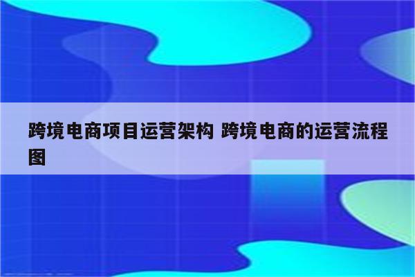 跨境电商项目运营架构 跨境电商的运营流程图