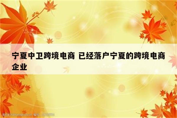 宁夏中卫跨境电商 已经落户宁夏的跨境电商企业