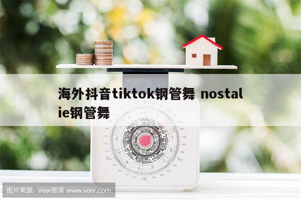 海外抖音tiktok钢管舞 nostalie钢管舞