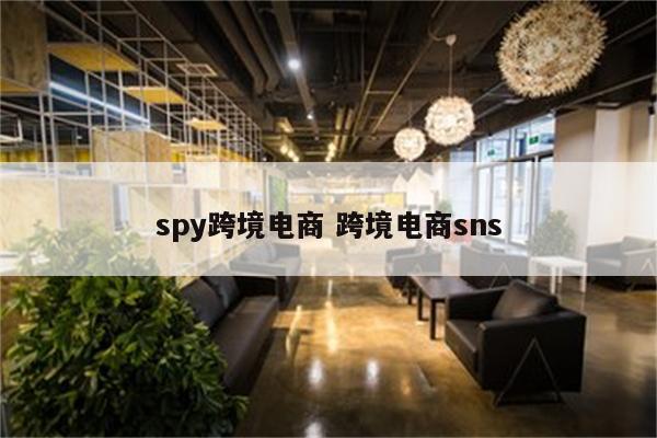 spy跨境电商 跨境电商sns