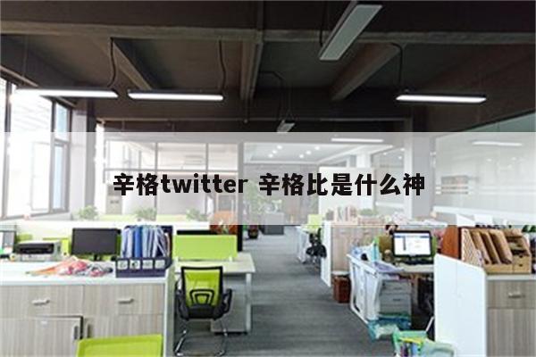 辛格twitter 辛格比是什么神