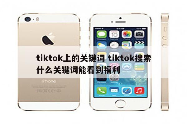 tiktok上的关键词 tiktok搜索什么关键词能看到福利