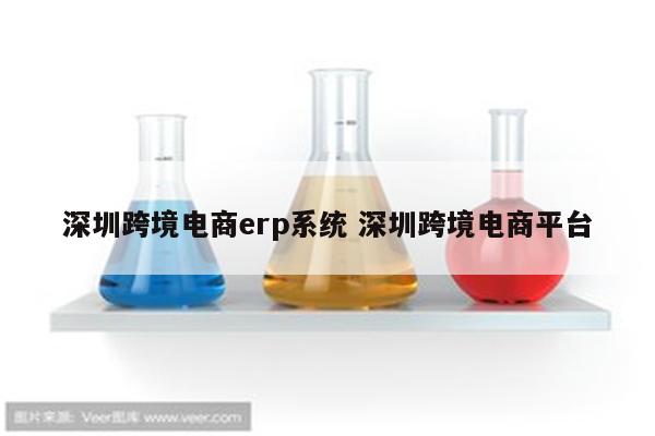深圳跨境电商erp系统 深圳跨境电商平台