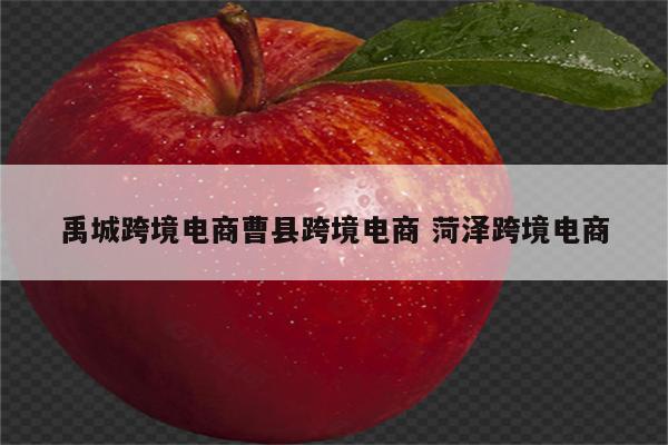 禹城跨境电商曹县跨境电商 菏泽跨境电商