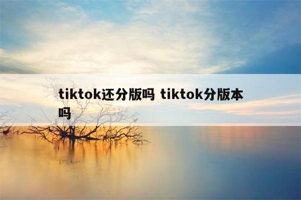 tiktok还分版吗 tiktok分版本吗