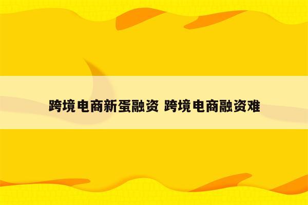 跨境电商新蛋融资 跨境电商融资难