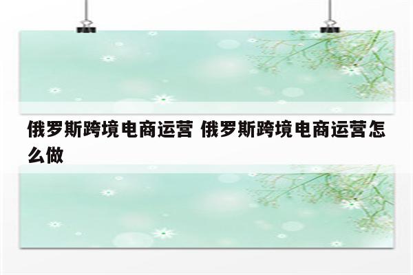 俄罗斯跨境电商运营 俄罗斯跨境电商运营怎么做