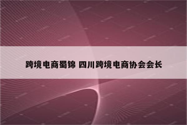 跨境电商蜀锦 四川跨境电商协会会长
