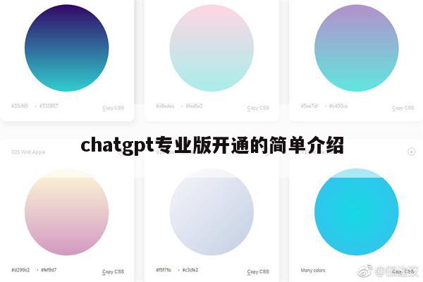 chatgpt专业版开通的简单介绍