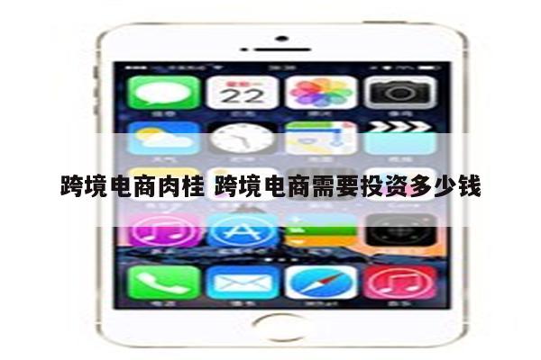 跨境电商肉桂 跨境电商需要投资多少钱