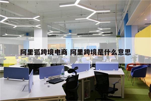 阿里狐跨境电商 阿里跨境是什么意思