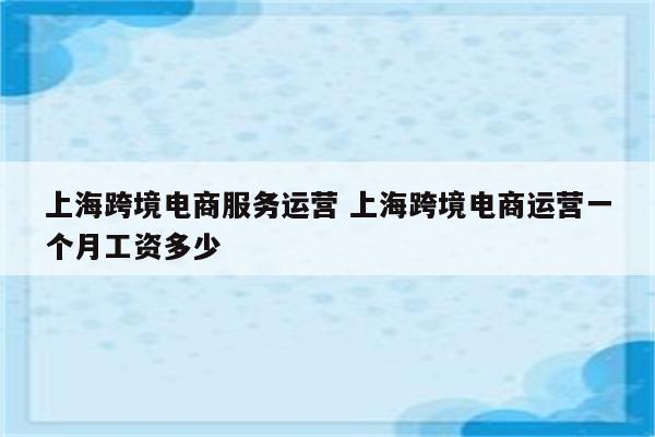 上海跨境电商服务运营 上海跨境电商运营一个月工资多少