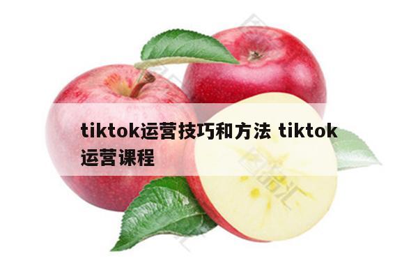 tiktok运营技巧和方法 tiktok运营课程