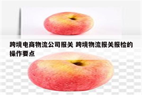 跨境电商物流公司报关 跨境物流报关报检的操作要点