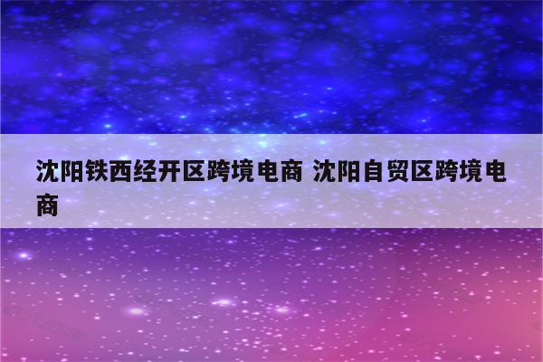沈阳铁西经开区跨境电商 沈阳自贸区跨境电商