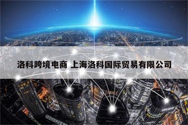洛科跨境电商 上海洛科国际贸易有限公司