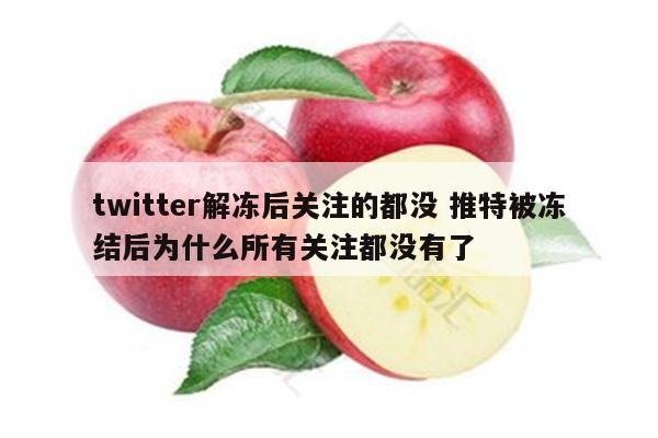 twitter解冻后关注的都没 推特被冻结后为什么所有关注都没有了