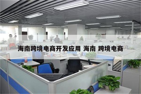 海南跨境电商开发应用 海南 跨境电商