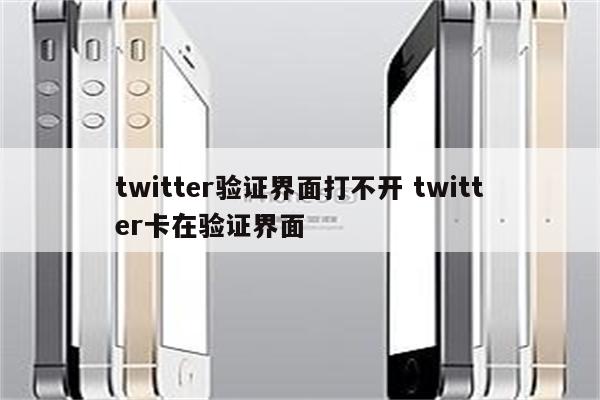 twitter验证界面打不开 twitter卡在验证界面