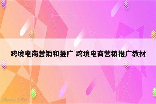 跨境电商营销和推广 跨境电商营销推广教材