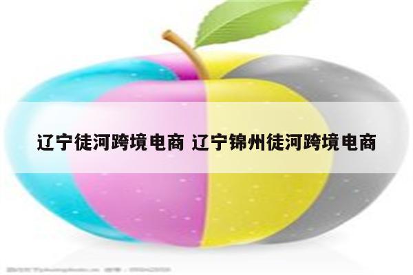 辽宁徒河跨境电商 辽宁锦州徒河跨境电商