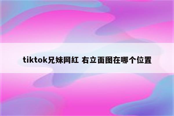 tiktok兄妹网红 右立面图在哪个位置