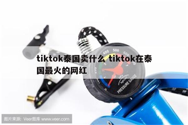 tiktok泰国卖什么 tiktok在泰国最火的网红
