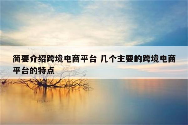 简要介绍跨境电商平台 几个主要的跨境电商平台的特点
