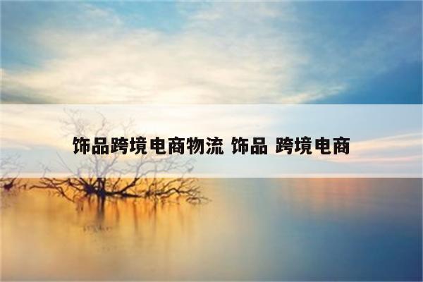 饰品跨境电商物流 饰品 跨境电商