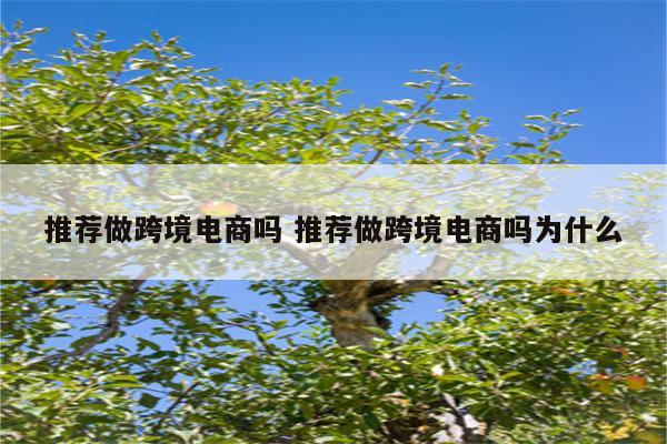 推荐做跨境电商吗 推荐做跨境电商吗为什么