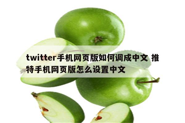 twitter手机网页版如何调成中文 推特手机网页版怎么设置中文