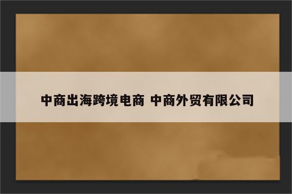 中商出海跨境电商 中商外贸有限公司