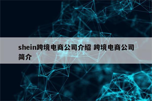 shein跨境电商公司介绍 跨境电商公司简介
