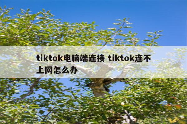 tiktok电脑端连接 tiktok连不上网怎么办
