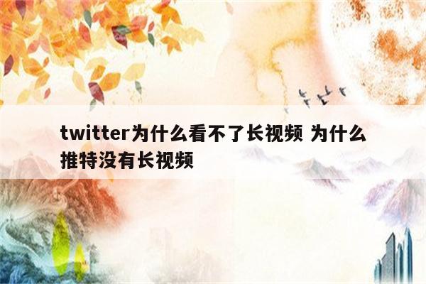 twitter为什么看不了长视频 为什么推特没有长视频