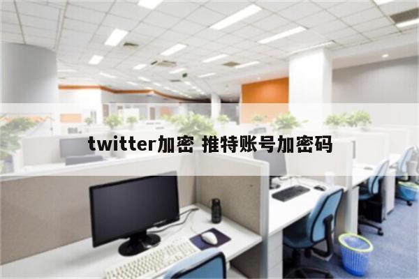 twitter加密 推特账号加密码