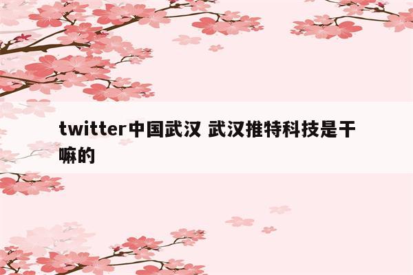 twitter中国武汉 武汉推特科技是干嘛的