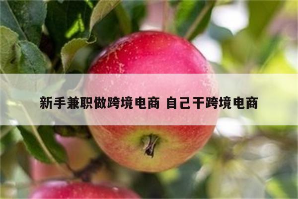 新手兼职做跨境电商 自己干跨境电商