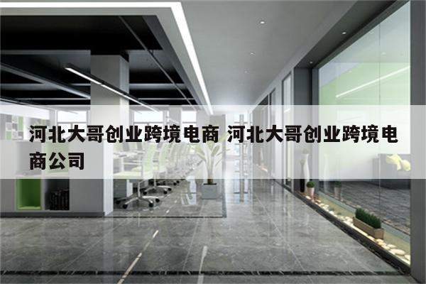 河北大哥创业跨境电商 河北大哥创业跨境电商公司
