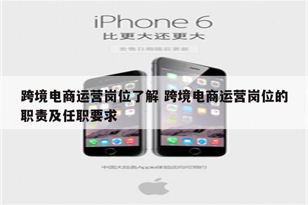 跨境电商运营岗位了解 跨境电商运营岗位的职责及任职要求