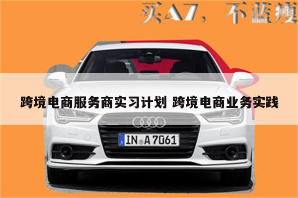 跨境电商服务商实习计划 跨境电商业务实践