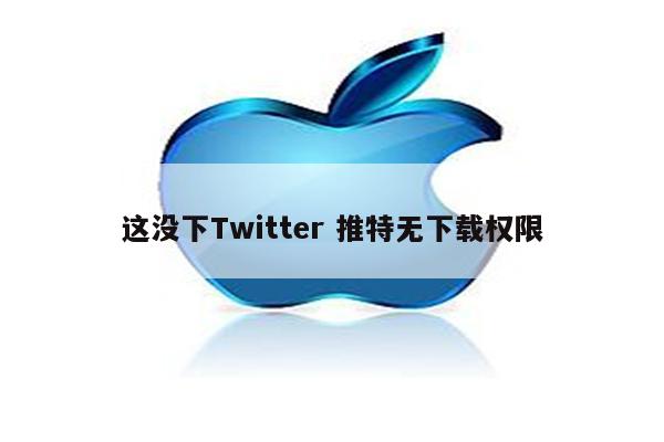 这没下Twitter 推特无下载权限