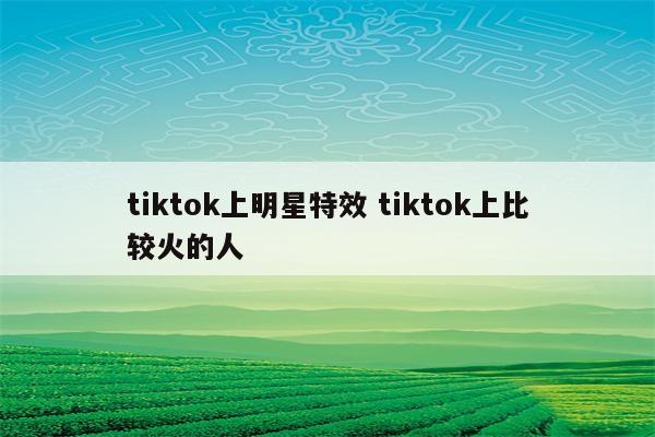 tiktok上明星特效 tiktok上比较火的人