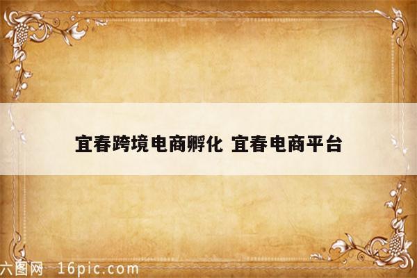 宜春跨境电商孵化 宜春电商平台