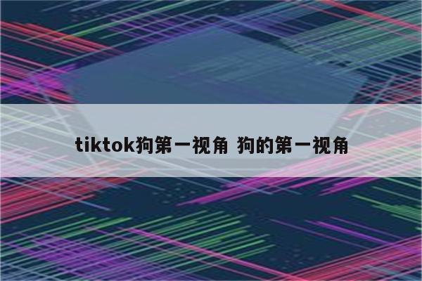 tiktok狗第一视角 狗的第一视角