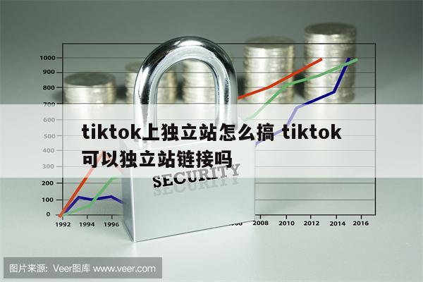 tiktok上独立站怎么搞 tiktok可以独立站链接吗