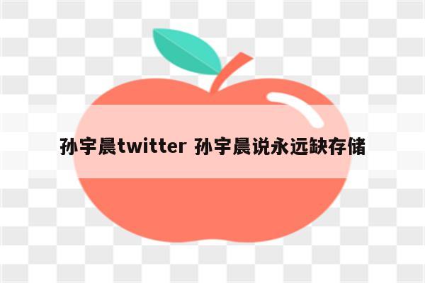 孙宇晨twitter 孙宇晨说永远缺存储
