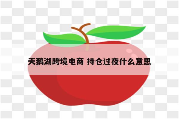 天鹅湖跨境电商 持仓过夜什么意思